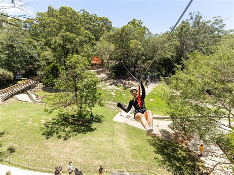 TREETOP CHALLENGE (2026) All You Need to Know BEFORE You Go (with ...