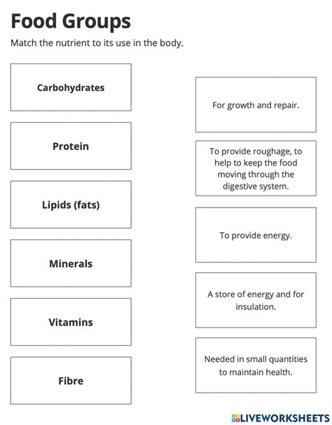 Image result for Basic Food Groups Live Worksheet