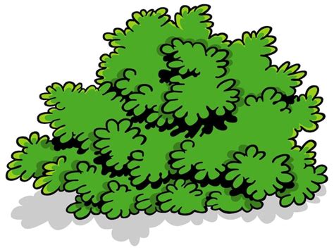 Green shrub with leaves | Premium Vector