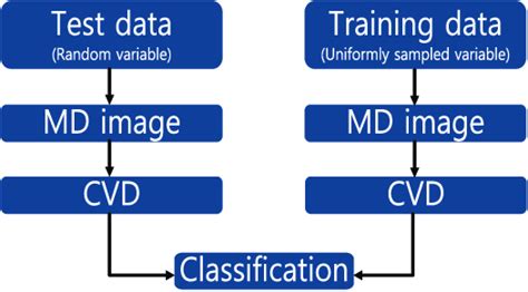 Classification Procedure 的图像结果