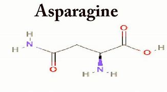 Asparagine 的图像结果