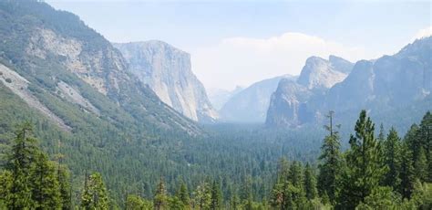 Image result for Types Fog