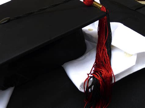 Image result for Graduation Cockroach