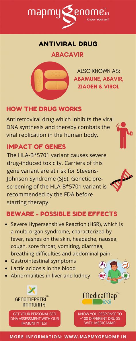Antiviral drug, Abacavir : How the drug works, Impact of genes ...