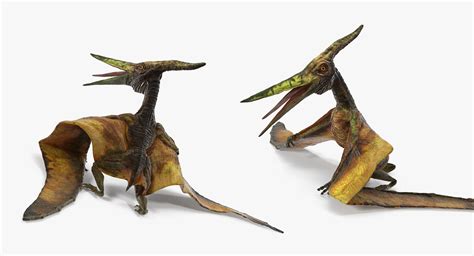 3D Pteranodon Flying Carnivorous Reptile Standing Pose | 3D Molier ...