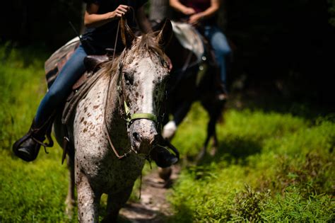 Pennsylvania Horseback Riding Stable - Mountain Creek Riding Stables