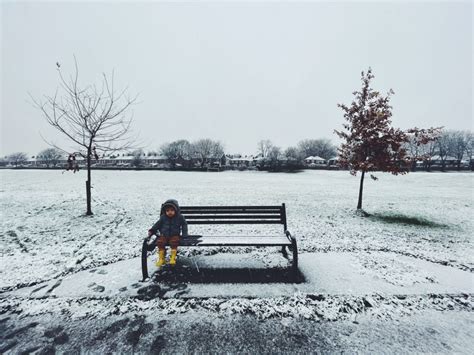 How to Use iPhone 12 Pro Max Camera 的图像结果