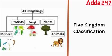Five Kingdom Classification: Features, Examples, Characteristics ...
