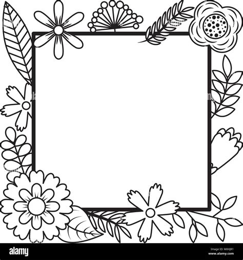 Blank Card 的图像结果