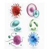 Drawings of 5 microorganisms with the modes of nutrition - Brainly.in