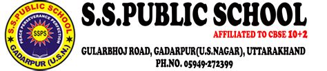 S.S.Public School
