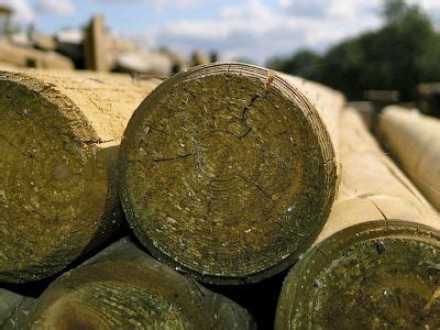 Image result for Round Threaded Post