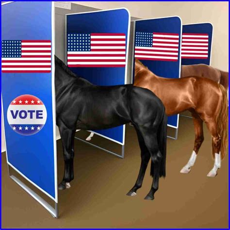 New Horse Protection Act regs: 270 days & election from enforcement ...