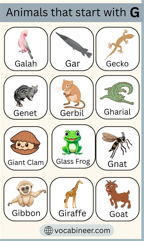 Animals That Start With G