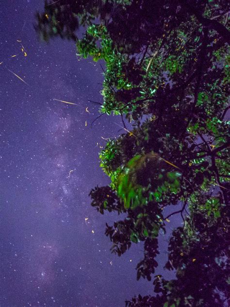 Madheghat Waterfall Rappelling & Trek