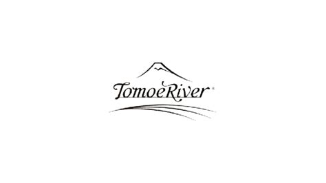 TOMOE RIVER - World's most loved Fountain Pen Friendly Japanese Paper ...