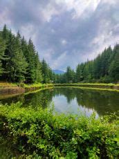 3 Days/ 2 Night Shimla & Narkanda Vacation Package | Shimla, Narkanda ...