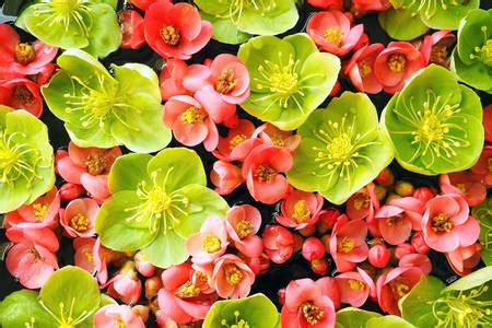 Jammin 99.9 Listen Live - WKXB, Burgaw, United States | Online Radio Box