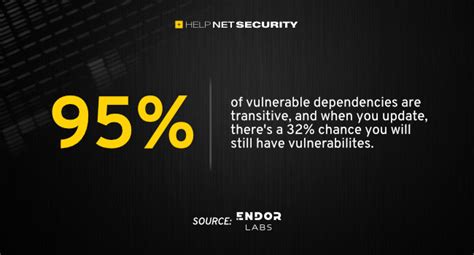 Image result for Vulnerabilities Developer