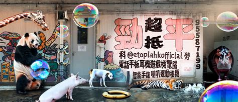 SE Computer 的图像结果