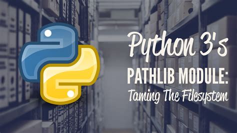 File Path Python 的图像结果