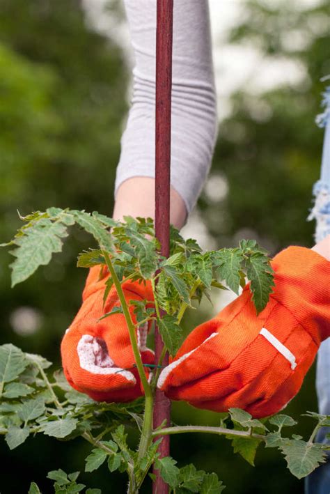 Relax Mag - the magazine for our shop