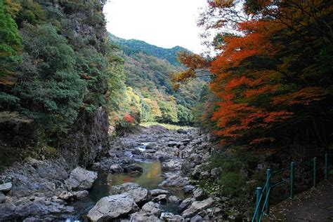 Yamaguchi Tourism (2024): All You Need to Know Before You Go