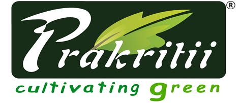 Eco Friendly Areca Palm Leaf Plates & Bowls | Bamboo Plates Disposable