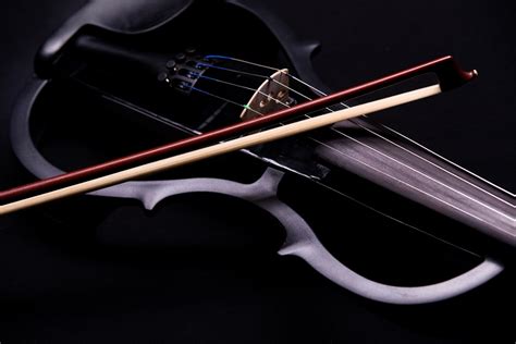 Image result for Electric String Instruments