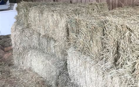 How Much Does A Bale Of Hay Cost Ontario at Edward Oneal blog