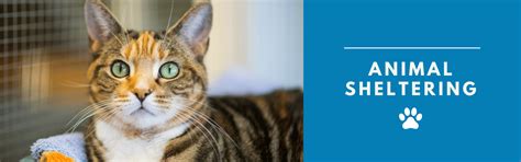 Animal Sheltering | County of Monterey, CA