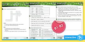 ESL Curriculum Level 12, Lesson 12 Activity Sheet