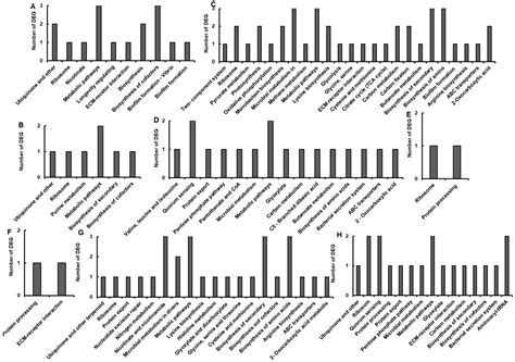 Transcriptome Analysis of Spirulina platensis sp. at Different Salinity ...