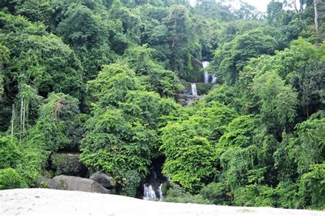 Lawachara National Park 3