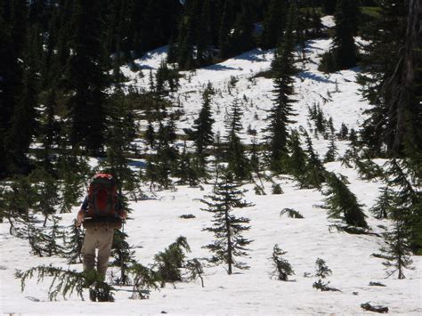 Image result for How to Navigate with Compass Tutorial