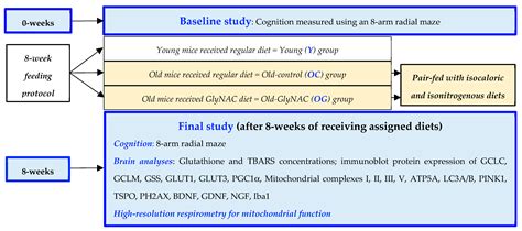 GlyNAC (Glycine and N-Acetylcysteine) Supplementation in Old Mice ...