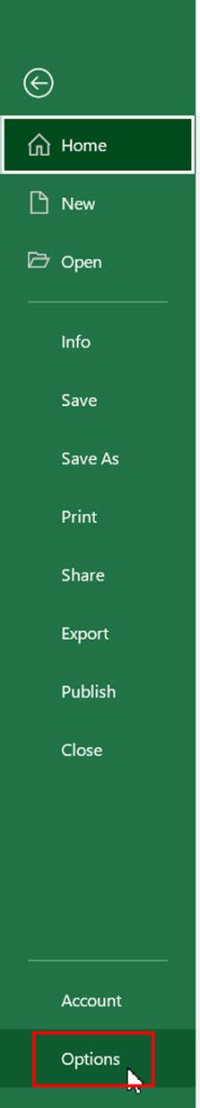 Image result for Excel File Options