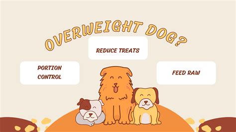 What is raw dog food? – www.barfindia.com