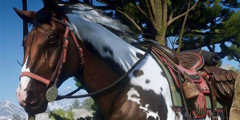 What Is The Best Saddle In Rdr2 Online 2022 at Michele Bodden blog