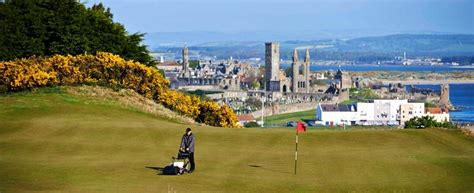 The Toro Company Office Photos | Glassdoor