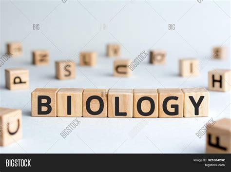 The Word Biology