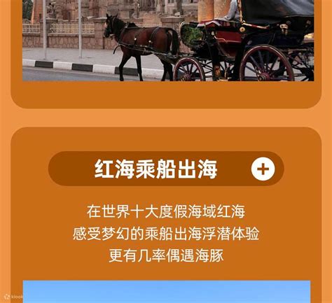 Return to Egypt and travel through time for 11 days (direct flight from ...