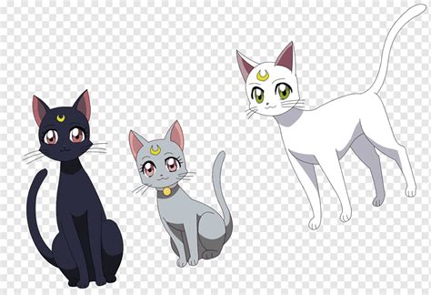 Sailor Moon Luna Artemis And Diana