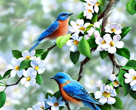 Download A vibrant display of spring birds perched on blooming branches ...