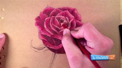 How to Make Paint Using Color Pencils 的图像结果
