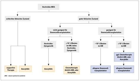 Neues zum myelodysplastischen Syndrom - Onkologie - Universimed ...
