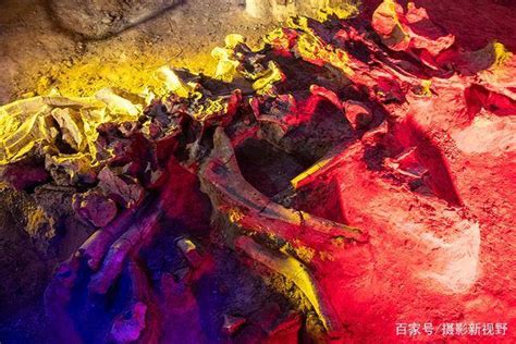 中国是发现恐龙最多的国家，世界最大恐龙化石竟在这里最早发现_汝阳县_巨龙_白垩纪