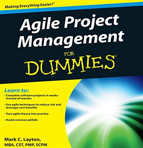 Image result for Project Management for Dummies