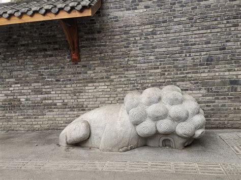 成都街头“啃地石狮”已被移走，网友为它还设计了表情包_京报网