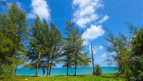 Butler Bay Beach: A Guide To The Hidden Jewel On Andaman!